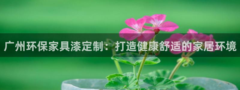 杏耀平台客服：广州环保家具漆定制：打造健康舒适的家居环境